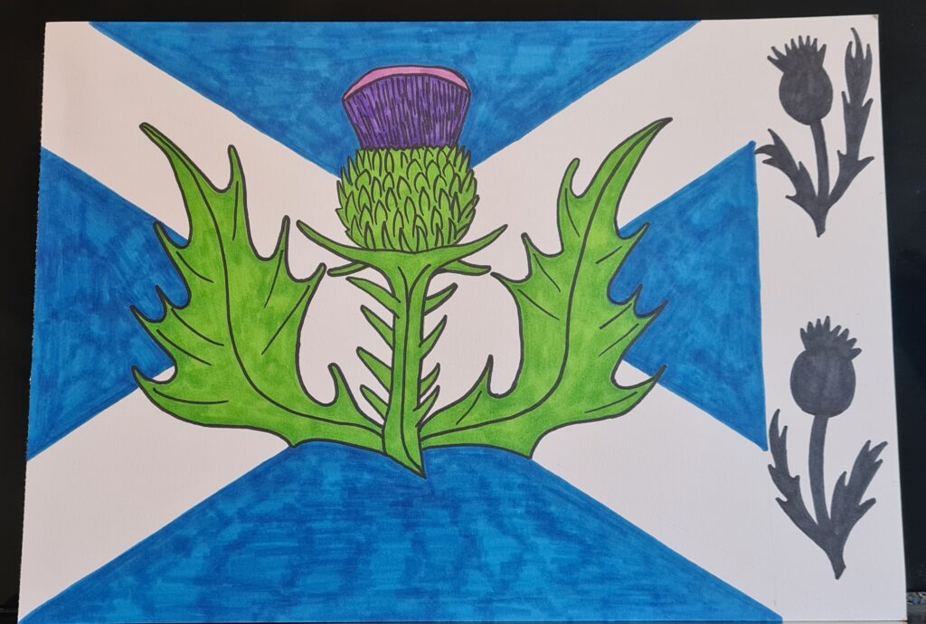 Scottish Flag Thistle Picture My Inspirational Art